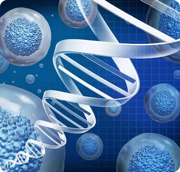 Illustration of DNA strands surrounded by cells, representing cellular wellness