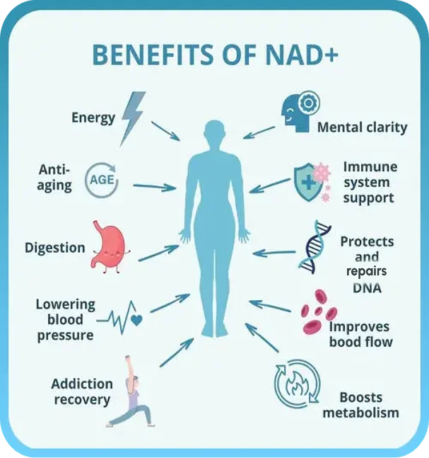 Infographic listing claimed benefits of NAD+ therapy